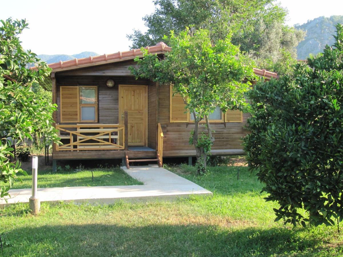Baris Pension & Bungalows Чирали Номер фото